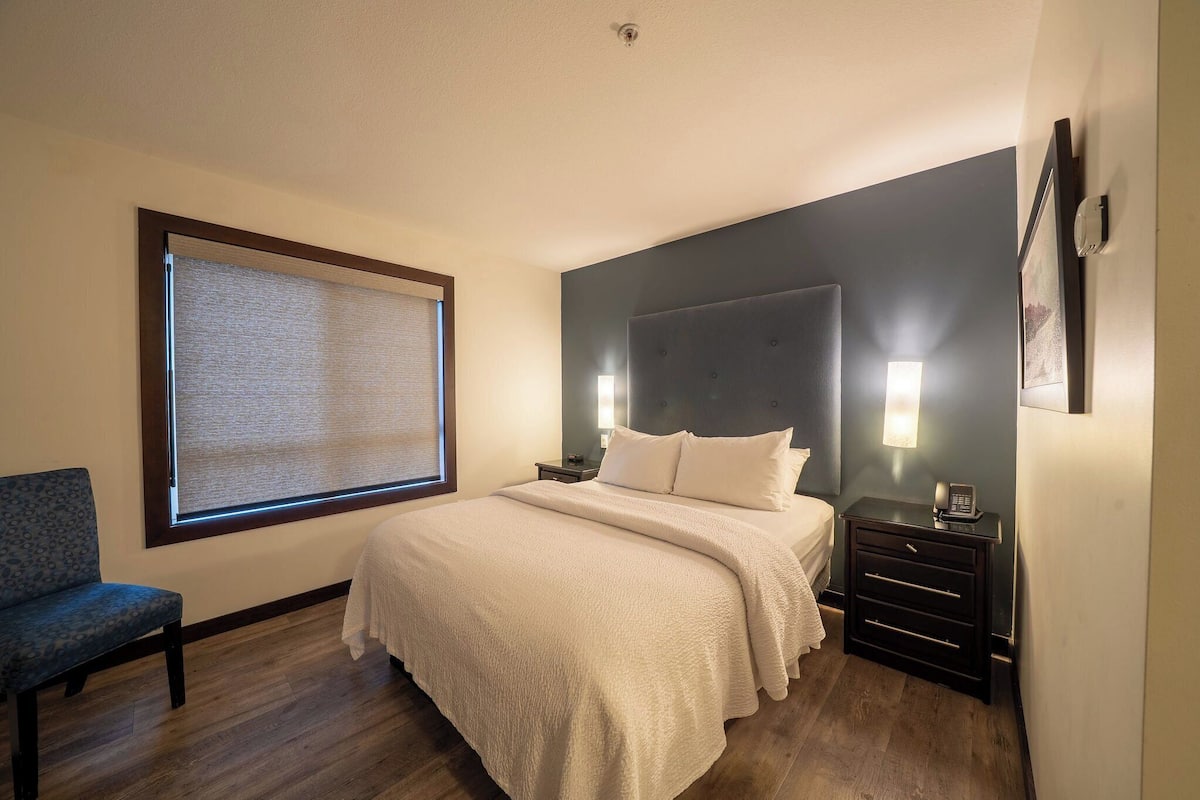 Estudio, 1 cama Queen size | 2 habitaciones, tabla de planchar con plancha y wifi gratis