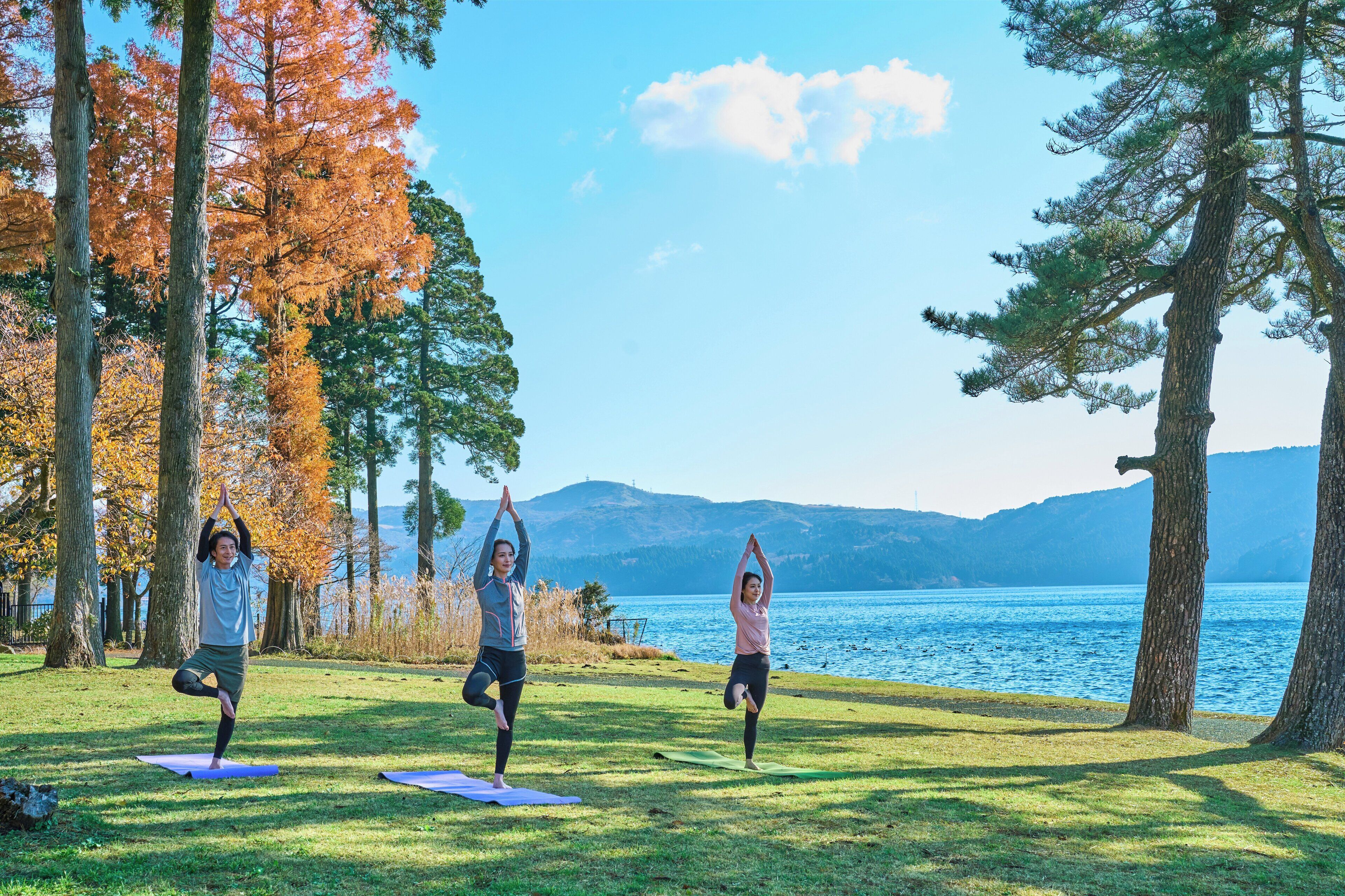 Photo - The Prince Hakone Lake Ashinoko