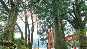 A person standing in a forested area with large trees and a red torii gate.