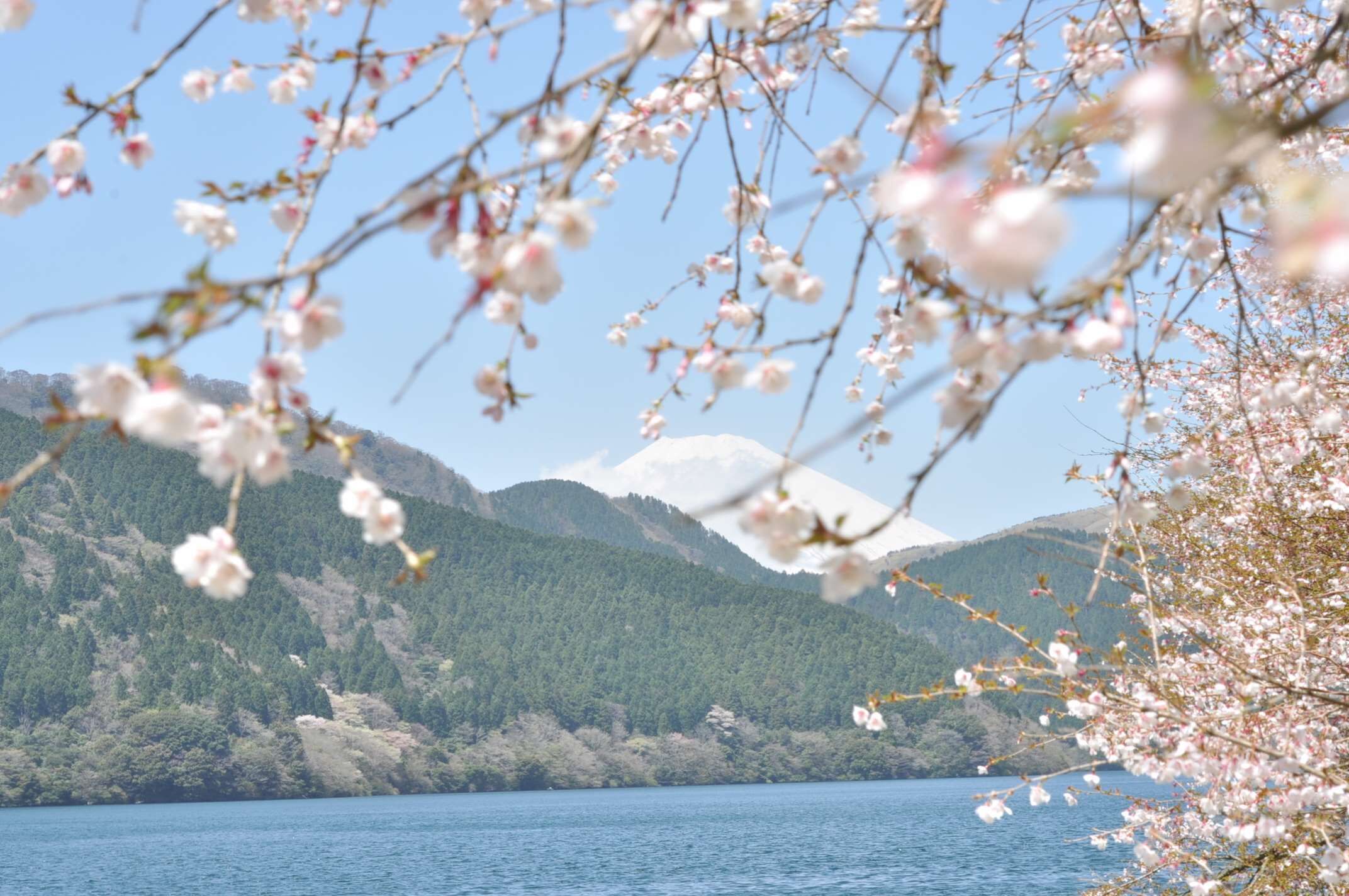 Foto - The Prince Hakone Lake Ashinoko
