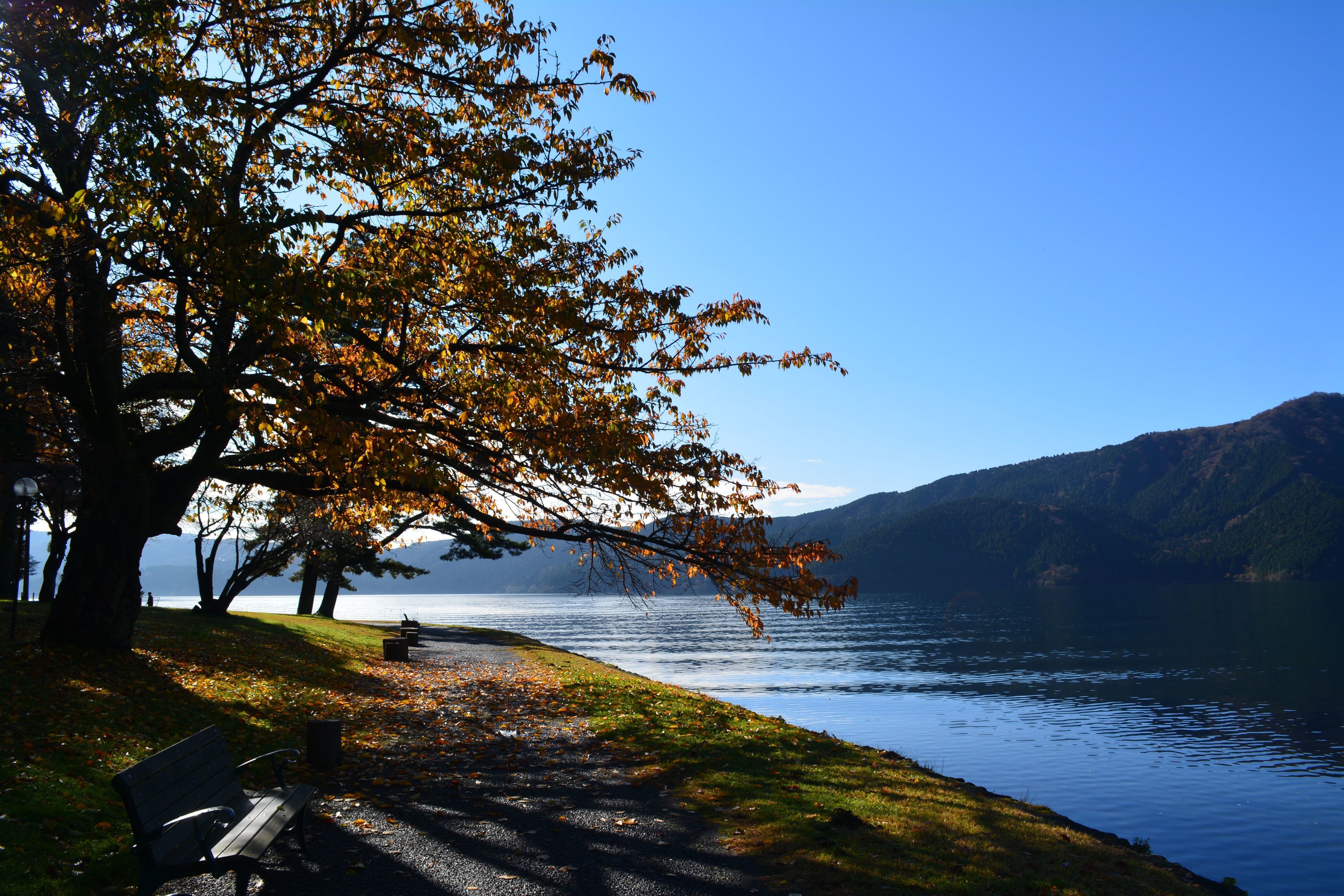 Foto - The Prince Hakone Lake Ashinoko