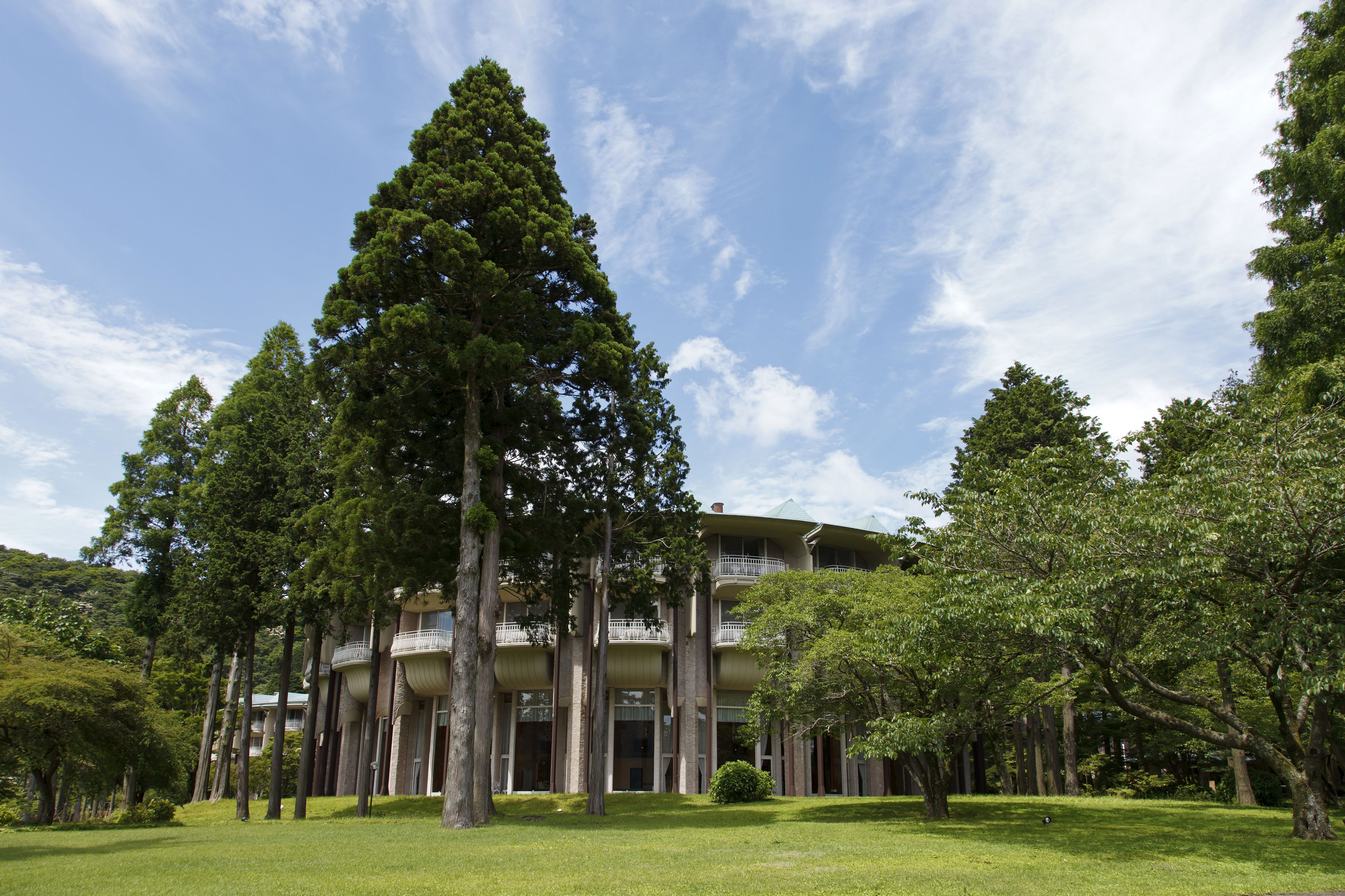 A multi-story building with a central courtyard surrounded by tall trees.