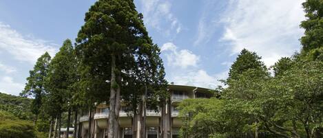 A multi-story building with a central courtyard surrounded by tall trees.