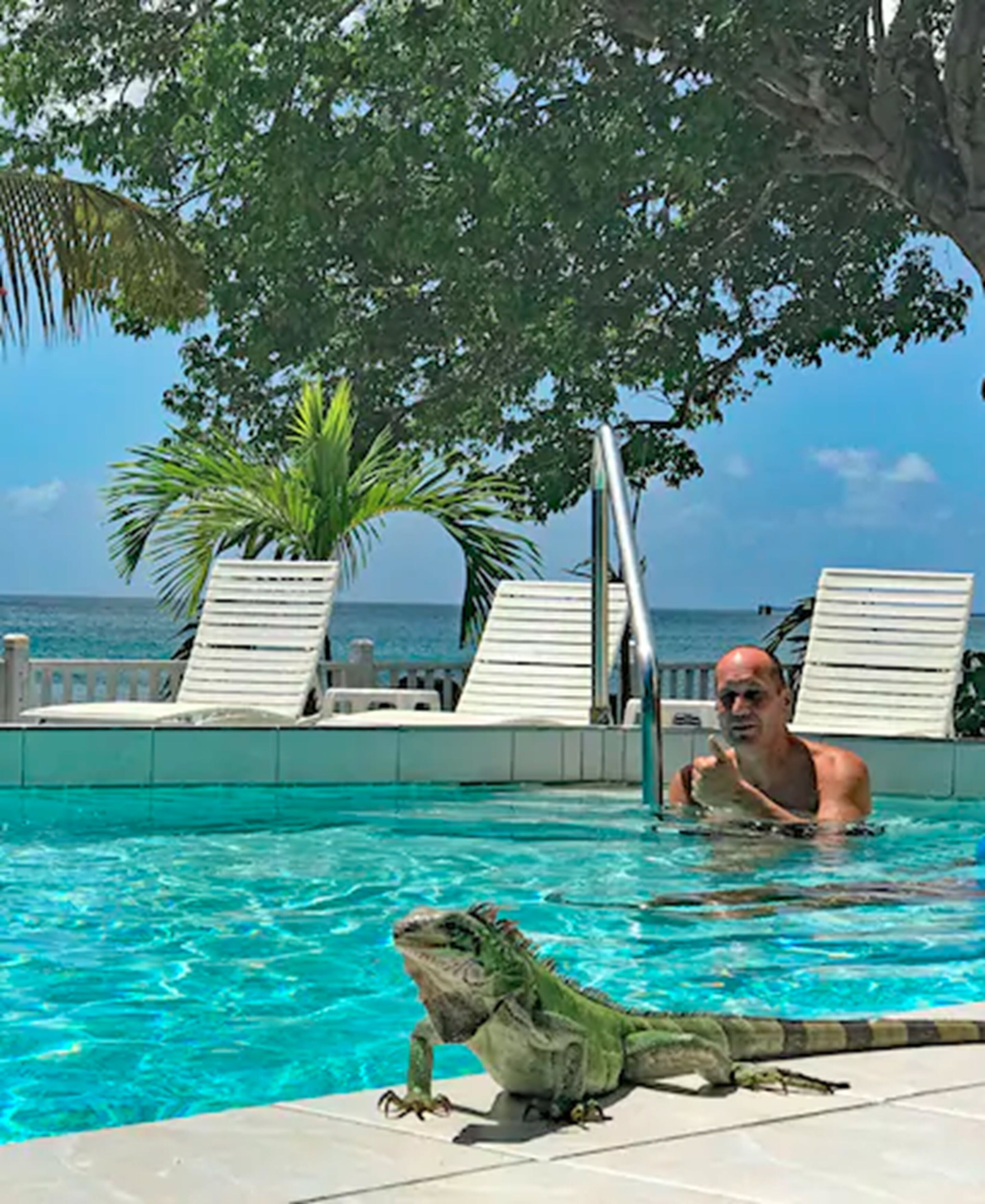 2 outdoor pools, pool loungers