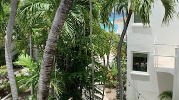 Superior Studio Suite, 1 King Bed | Garden view