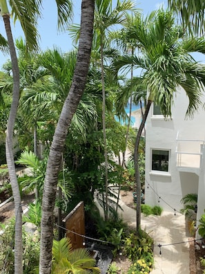 Studiosuite – superior, 1 kingsize-seng | Hageutsikt