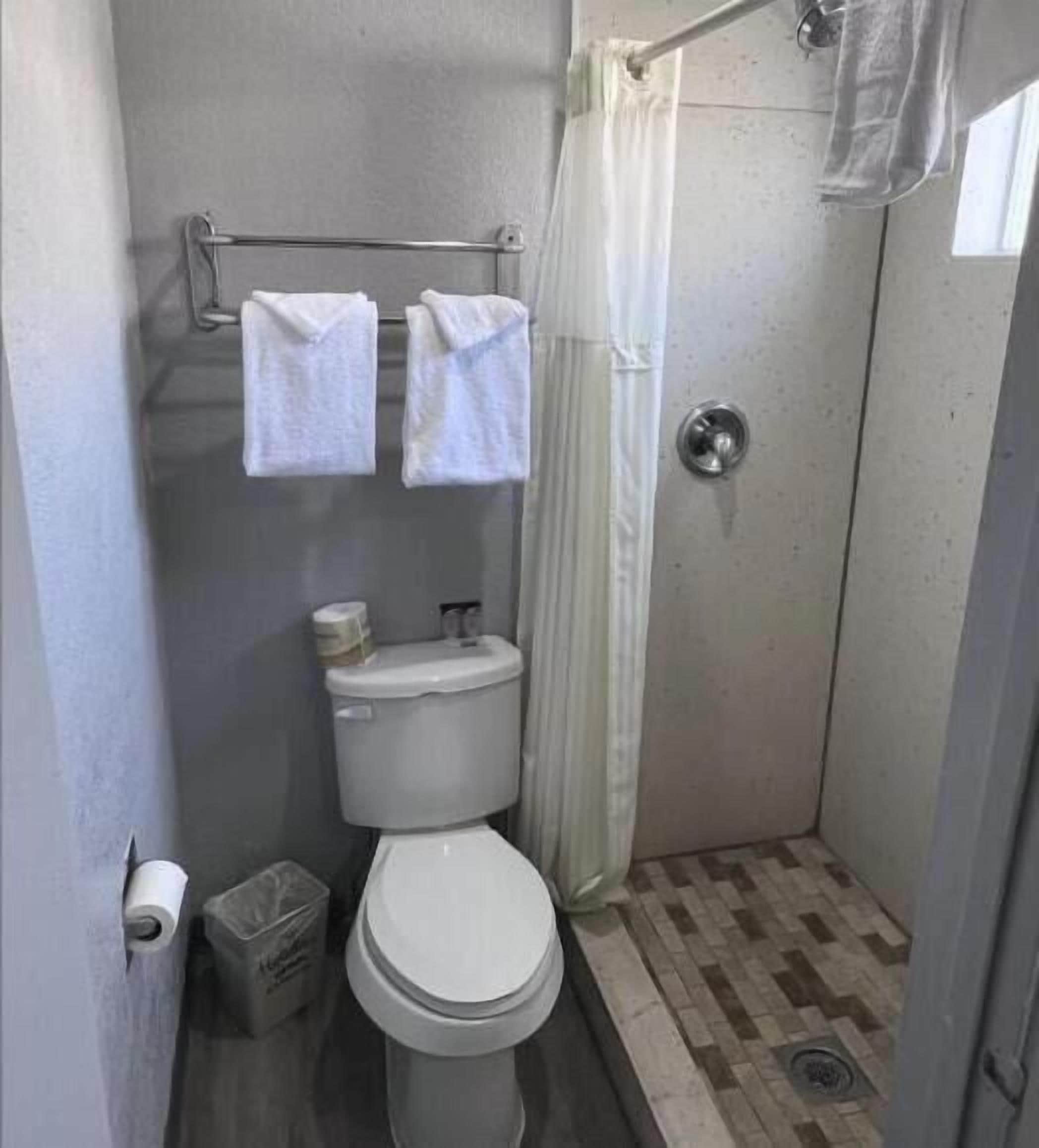 A small, compact bathroom with a toilet, a shower with a curtain, and two towels hanging on a rack.