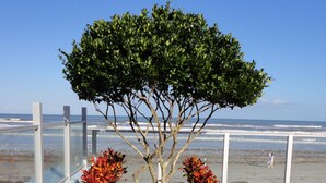 A tree with dense green foliage in front of a beach with waves. - Lotus Boutique Inn & Suites (Ormond Beach)