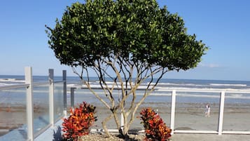 On the beach, beach cabanas
