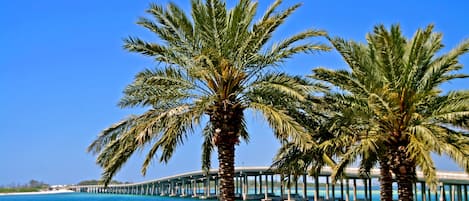 Vue sur la plage/l’océan