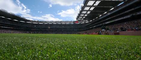 A stadium with a large, open field and tiered seating.