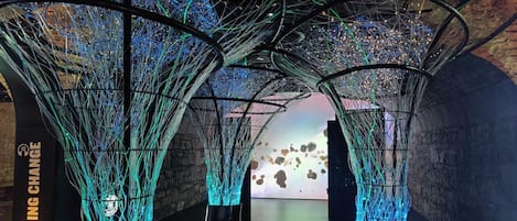 Vista del paisatge des de l'allotjament