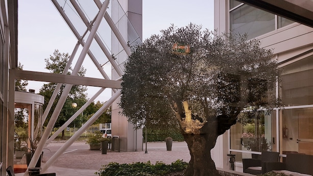 A modern building with a large glass facade, a central tree planter with a tree, and outdoor seating area. - Hotel Carpi (Carpi)