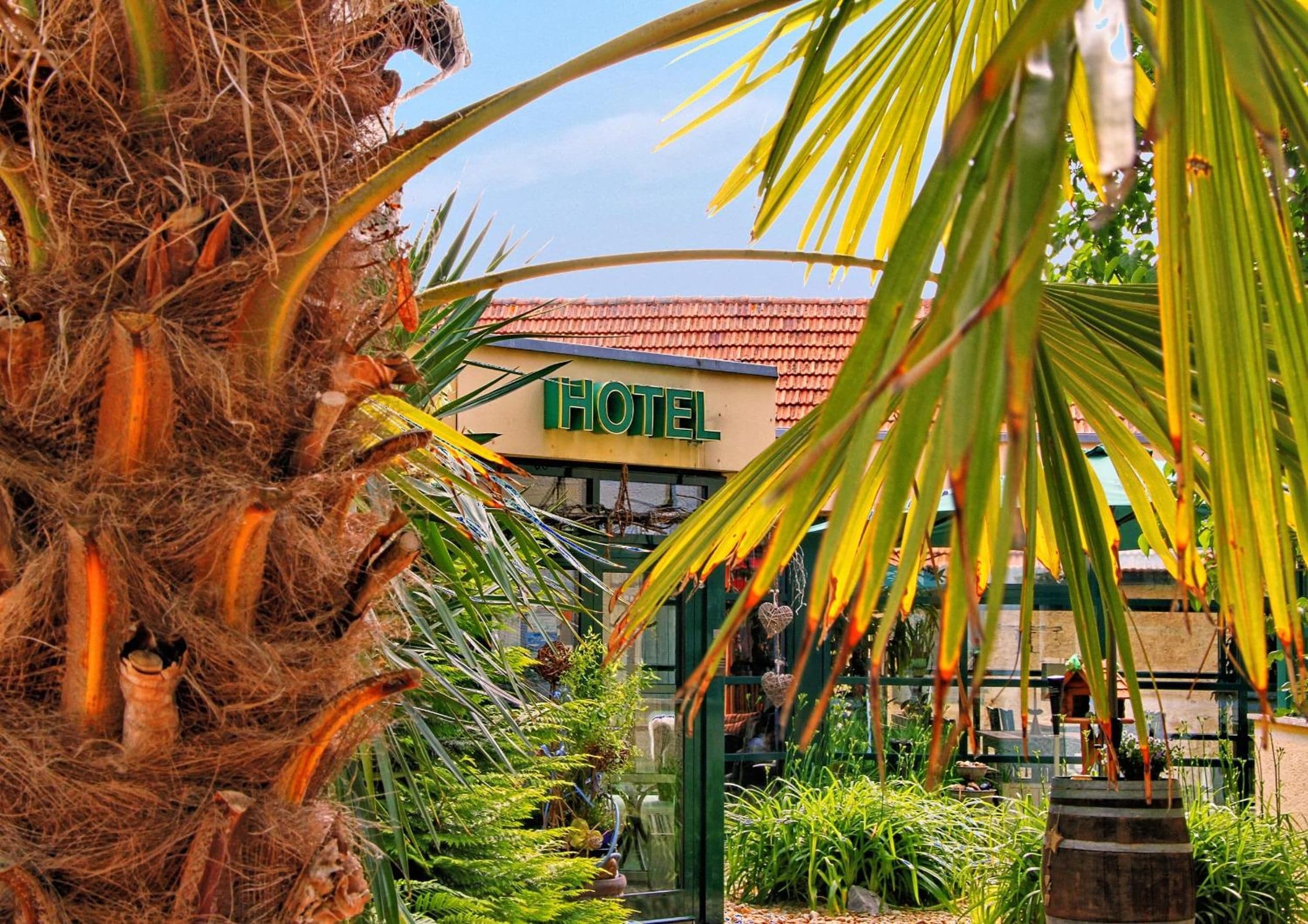 Entrada de hotel con un letrero, rodeada de vegetación exuberante y una palmera.
