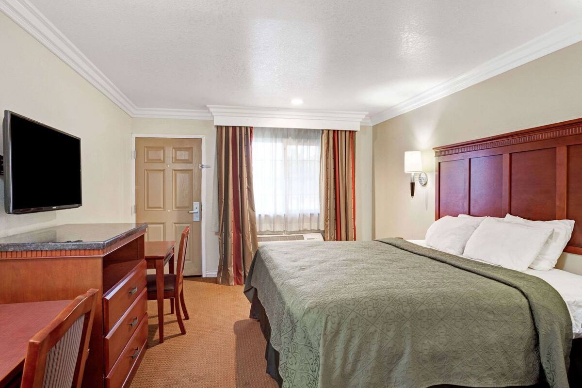 A hotel room with a bed, a desk with a television, a chair, a dresser, and a window with curtains.