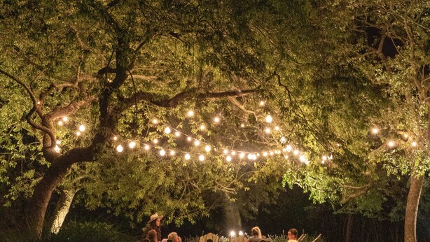 Een boom met lichtjes waar mensen op stoelen onder zitten.