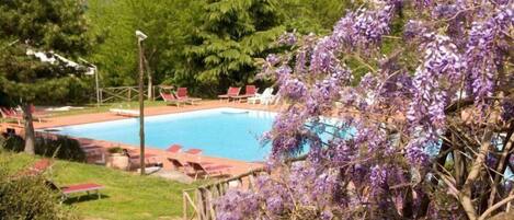 Alberca al aire libre por temporada y camastros