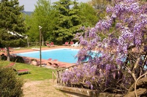 Seasonal outdoor pool, open 9:00 AM to 7:00 PM, pool loungers