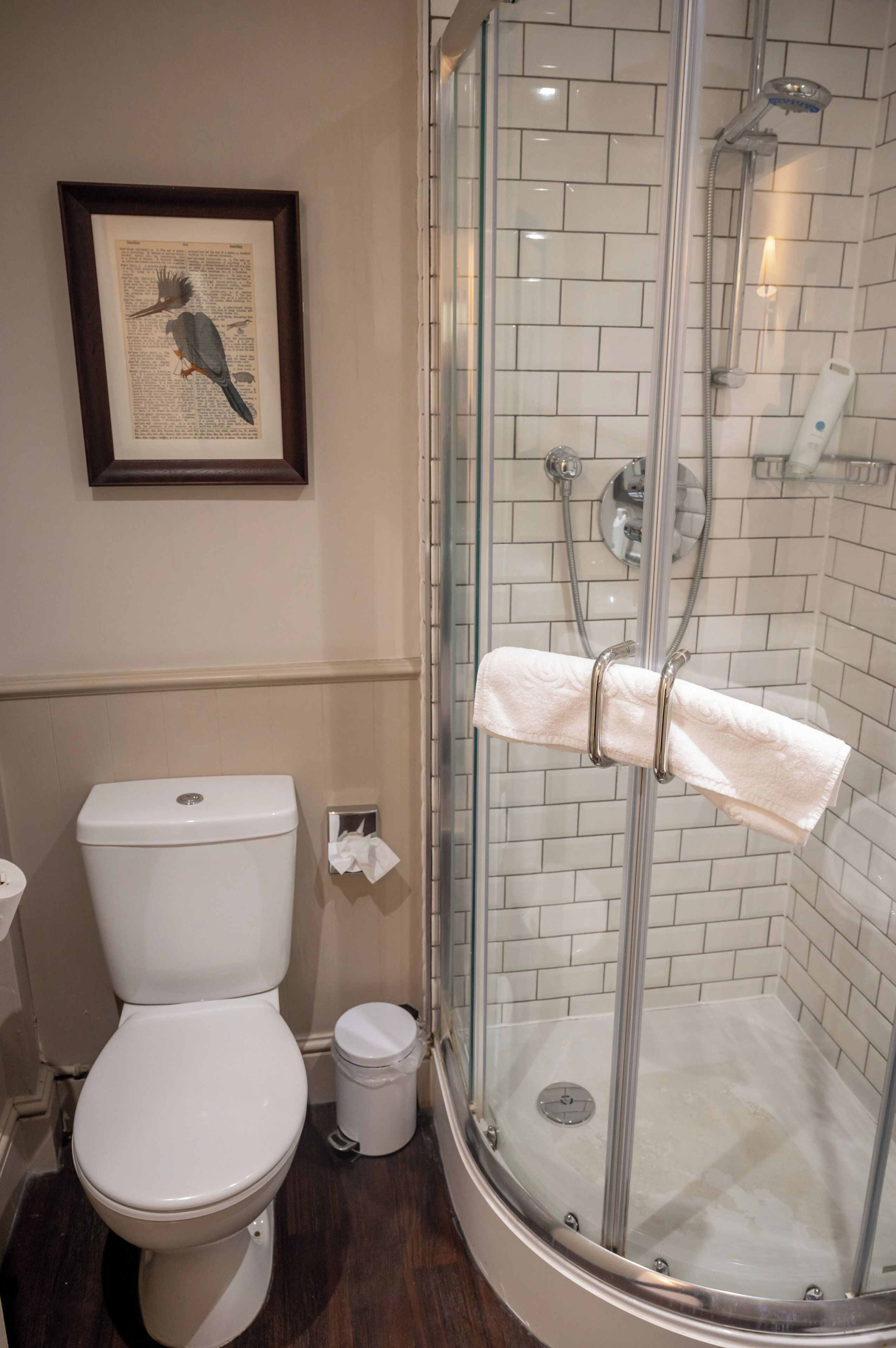A bathroom with a toilet, a framed bird illustration, and a glass-enclosed shower area.