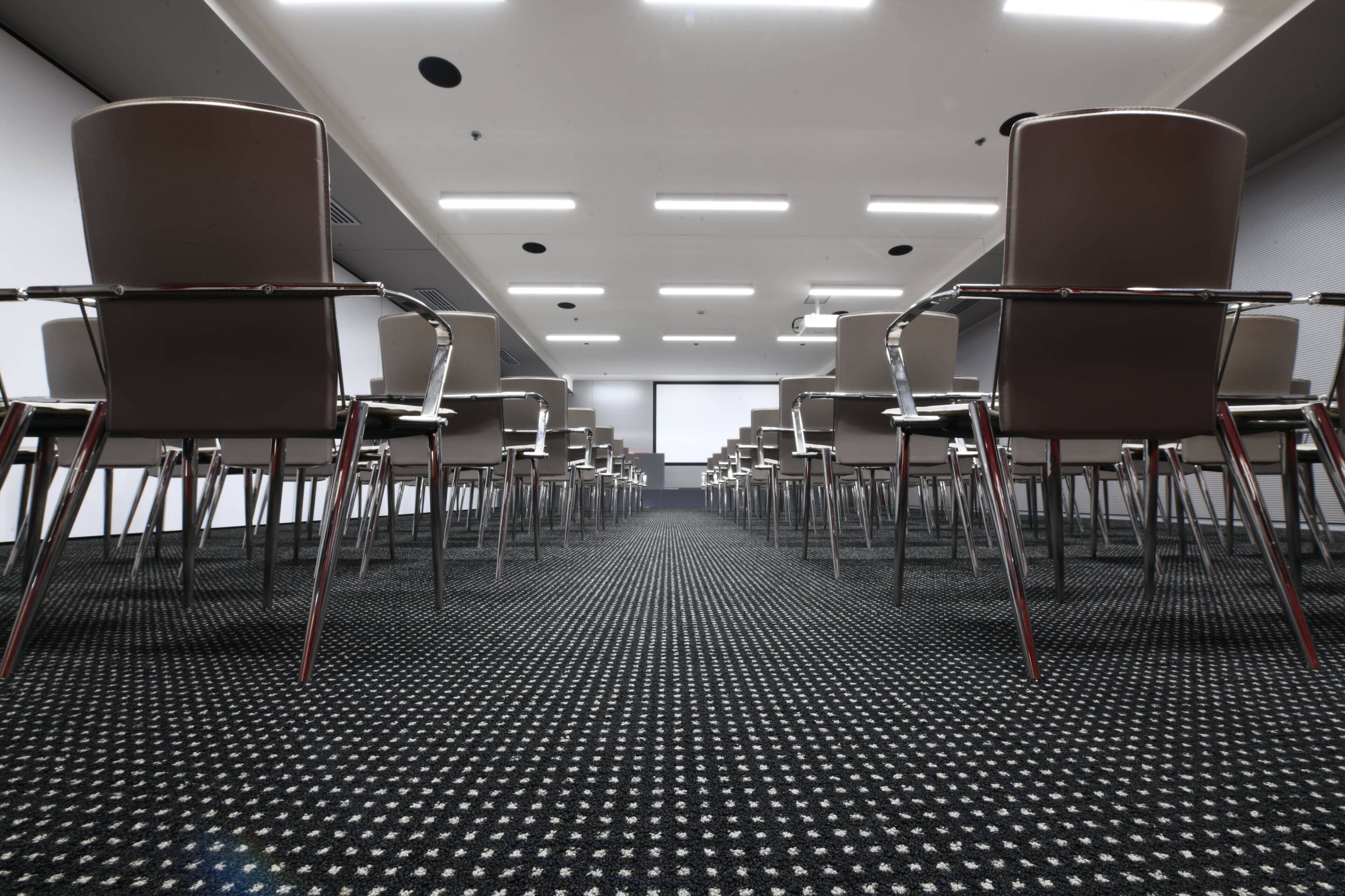 Un salón de conferencias con filas de sillas orientadas hacia una pantalla de proyección.