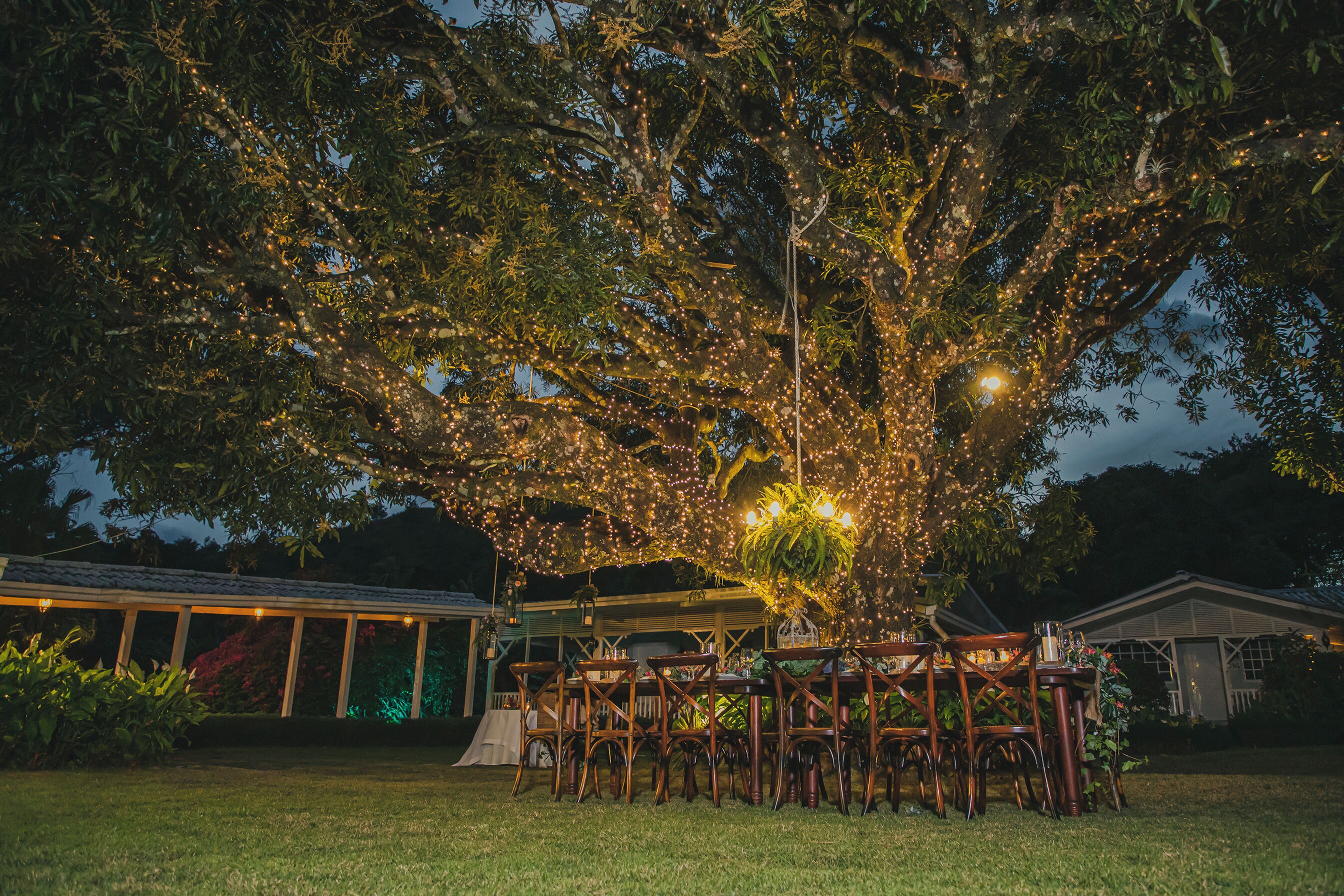 Un espacio al aire libre para comer con un gran árbol, luces colgantes y una zona de estar cubierta.
