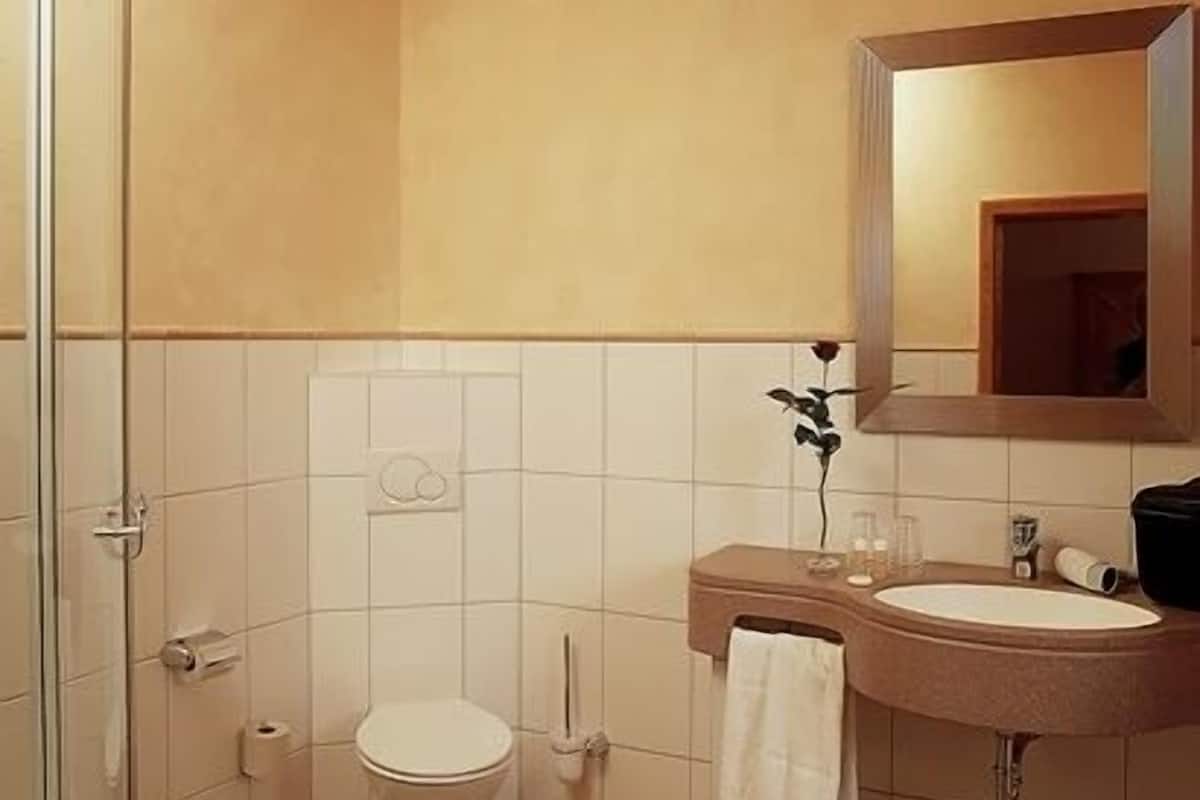 shower, free toiletries, hair dryer, bathrobes