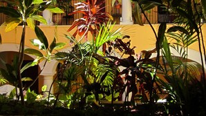 A courtyard with arches, potted plants, and a building with yellow walls. - Hotel Castelmar (Campeche)