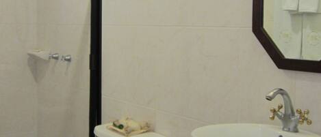 A bathroom with a toilet, a sink, and a shower.