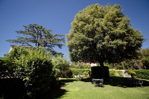 A well-maintained garden with a large tree, a lawn, and outdoor seating.
