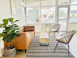 Una sala de estar moderna con un sofá de cuero, dos sillas de estructura metálica, una mesa de centro y una planta grande en maceta.