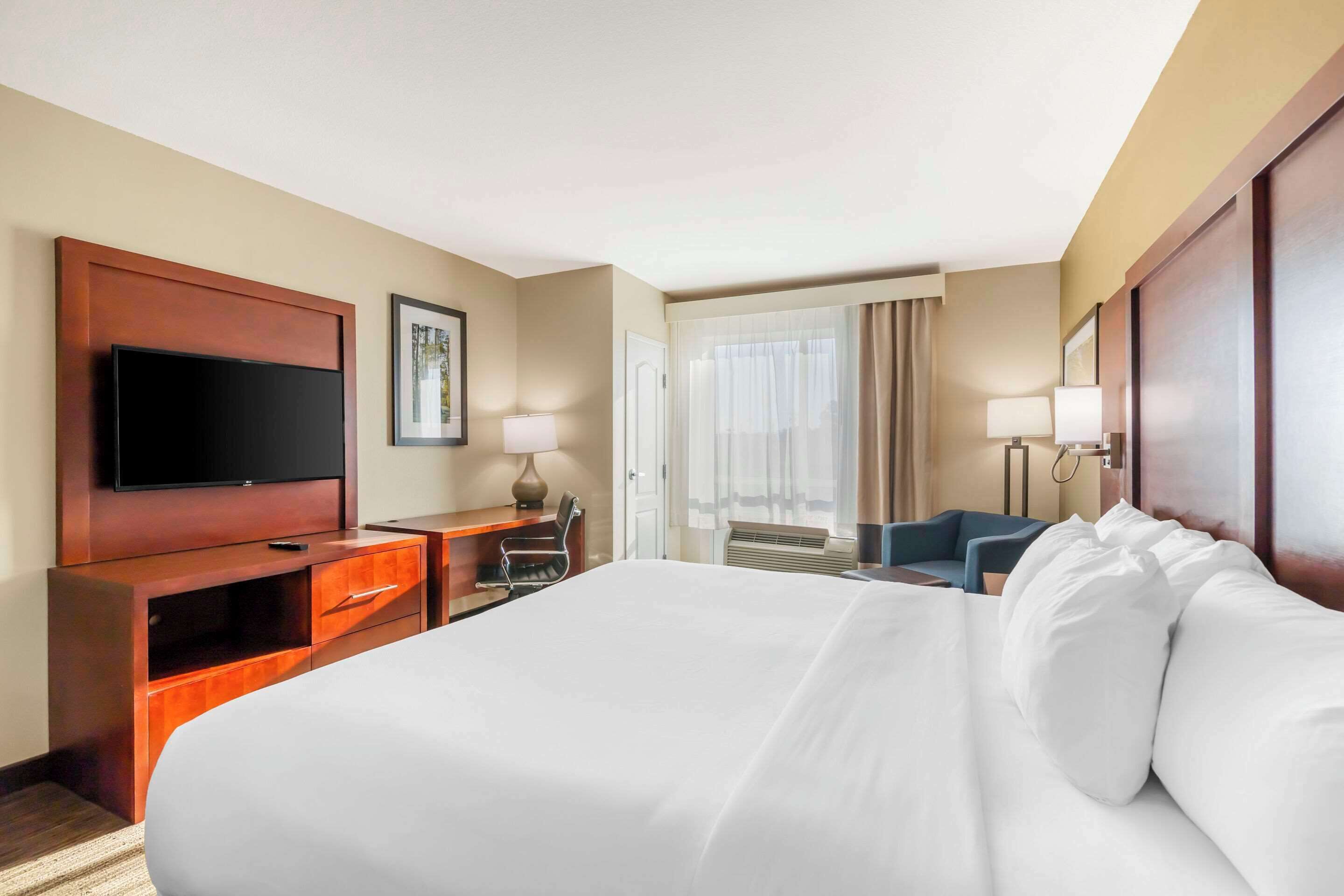 standard room, 1 king bed, non smoking | premium bedding, desk, iron/ironing board, free cots/infant beds