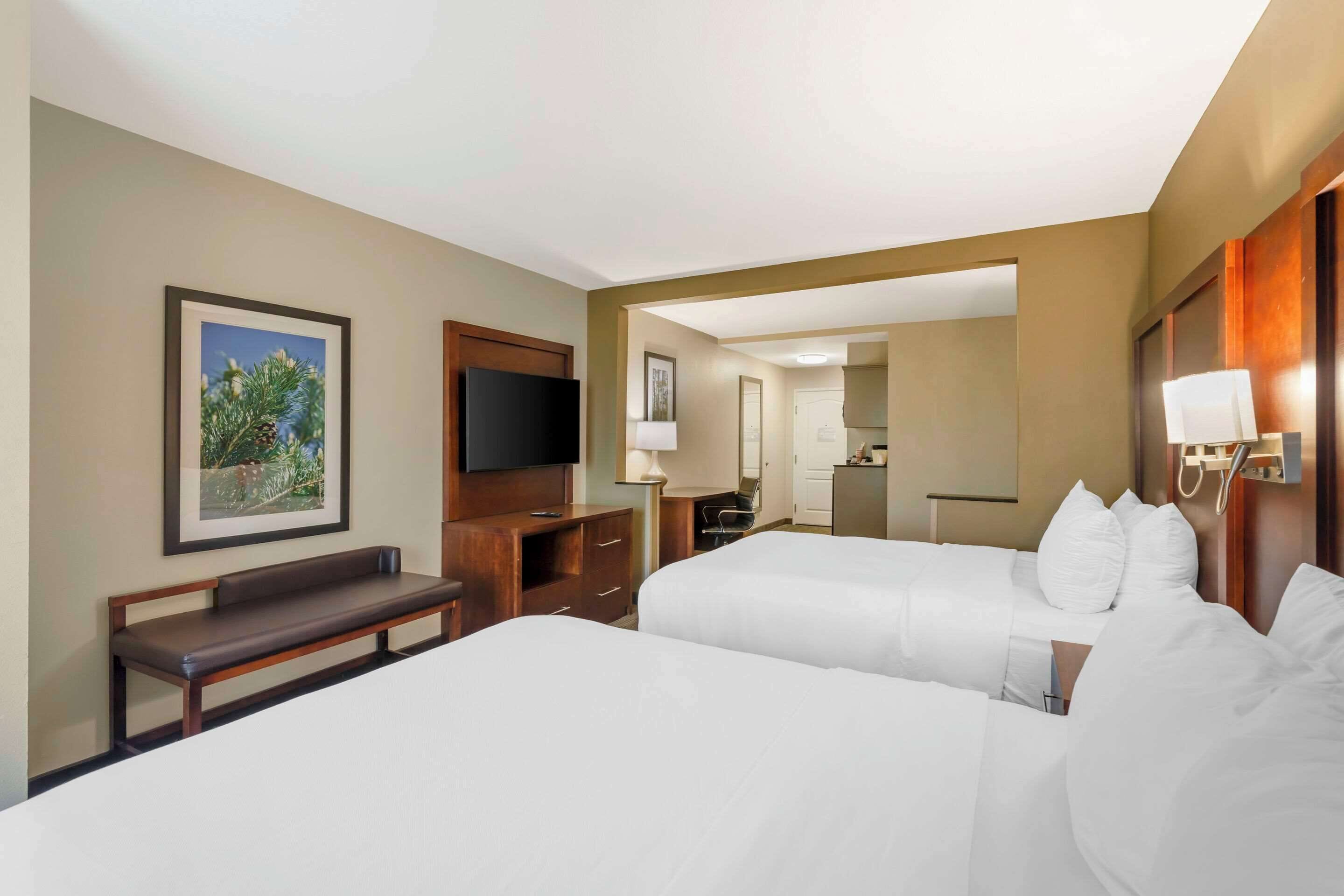 premium bedding, desk, iron/ironing board, free cots/infant beds