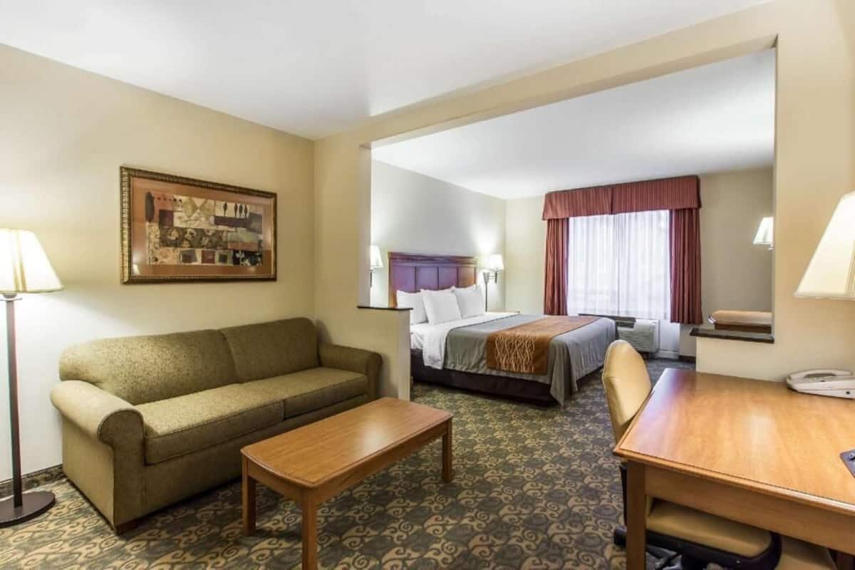 A hotel room with a sofa, a bed, a desk, and a lamp.