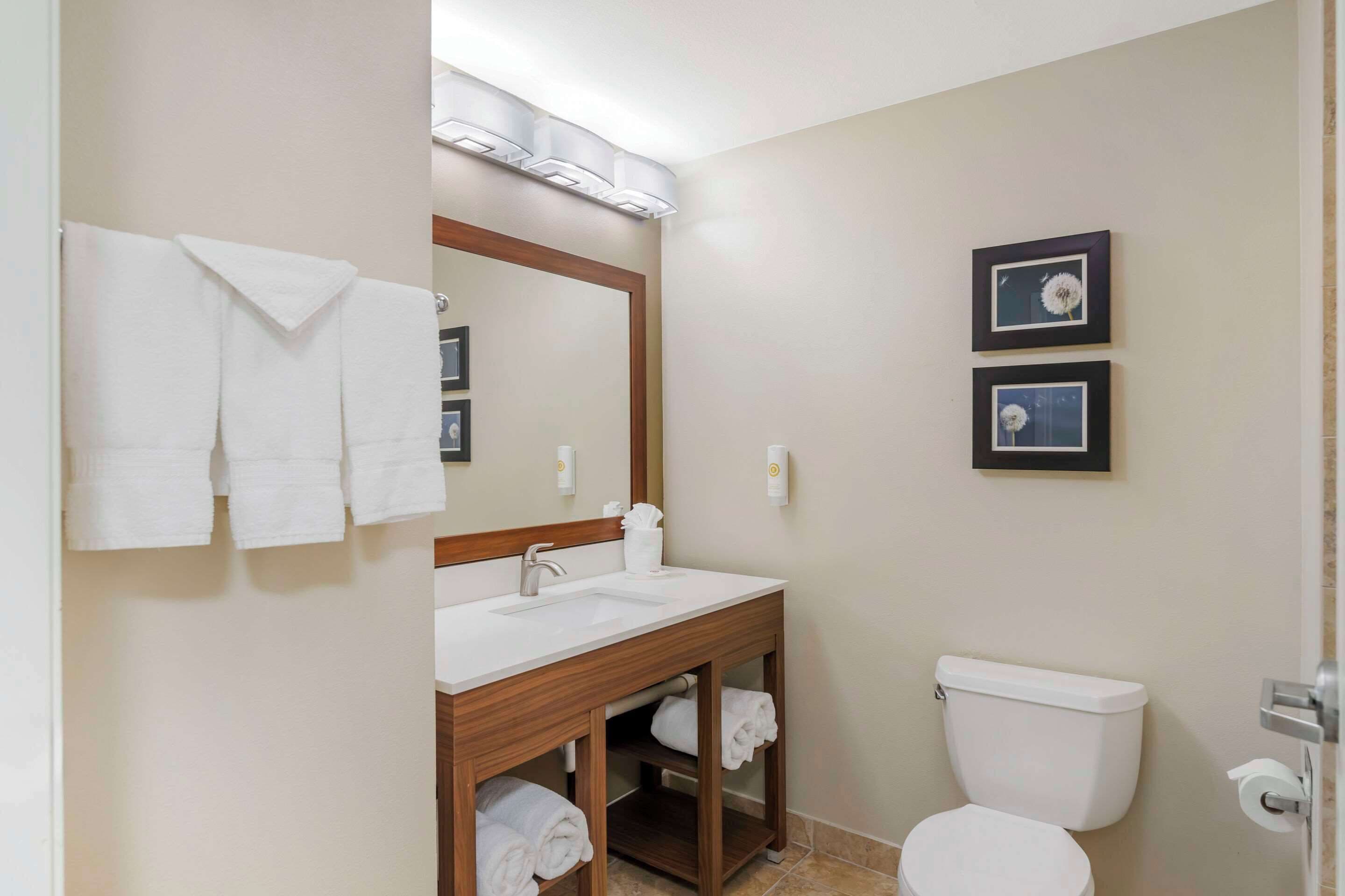 combined shower/bathtub, hair dryer, towels