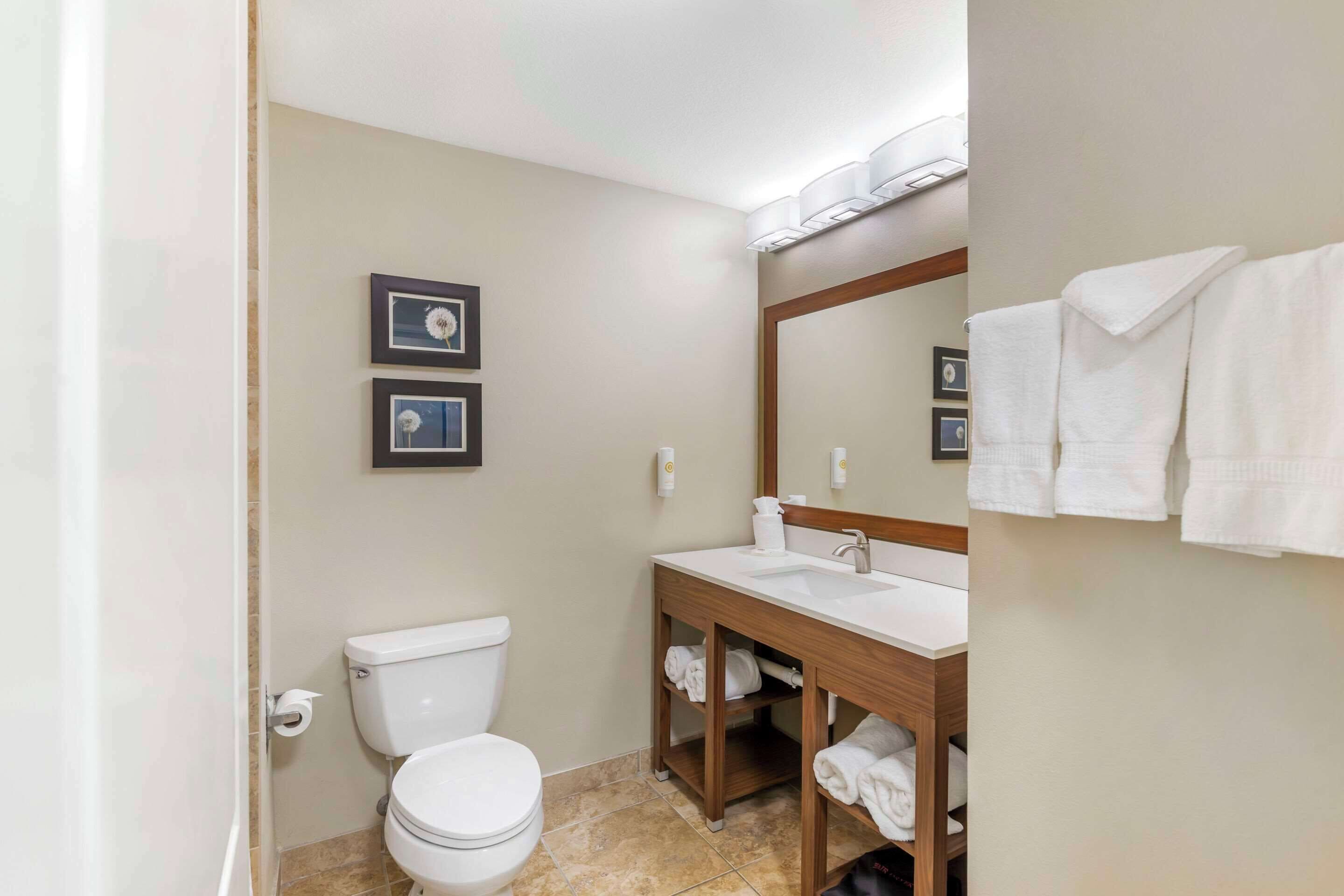 combined shower/bathtub, hair dryer, towels