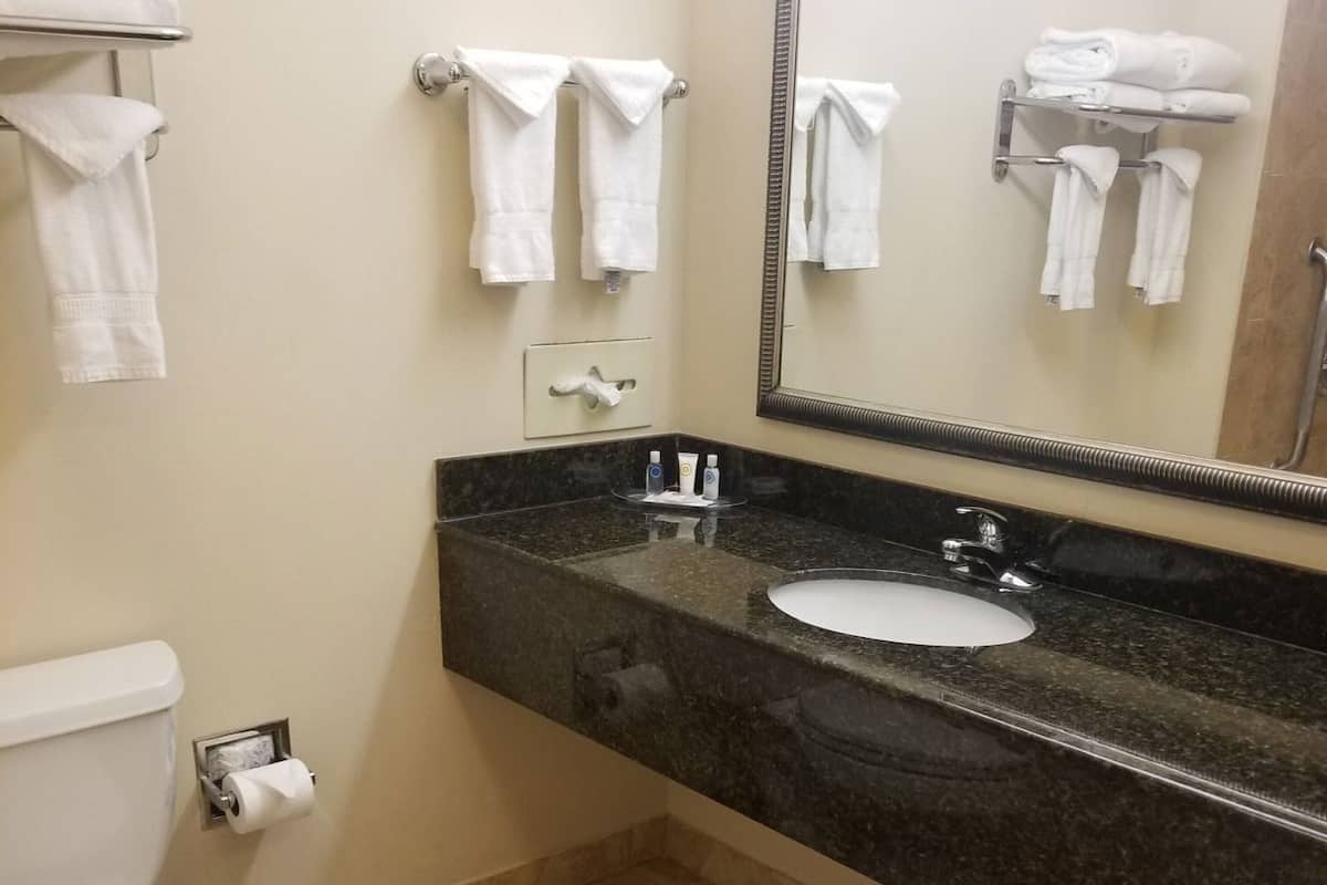 Bathroom | Combined shower/tub, free toiletries, hair dryer, towels