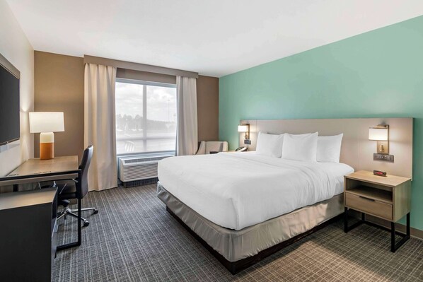 Suite, 1 King Bed with Sofa bed, Accessible, Non Smoking