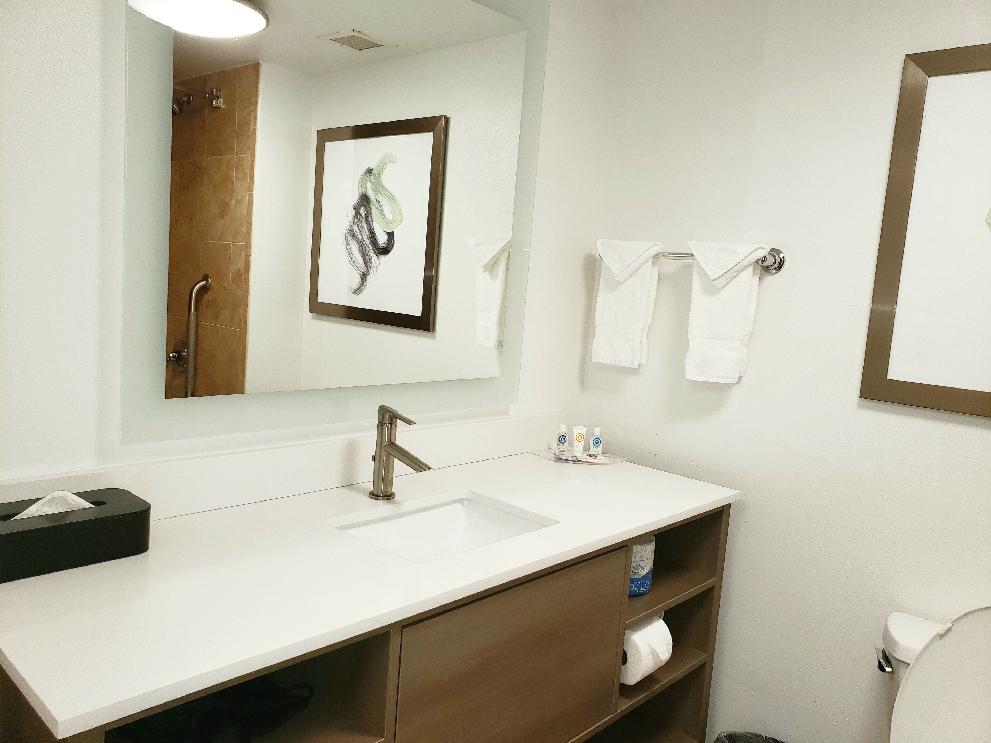 A bathroom with a white sink, a mirror, a framed artwork, and a towel rack.