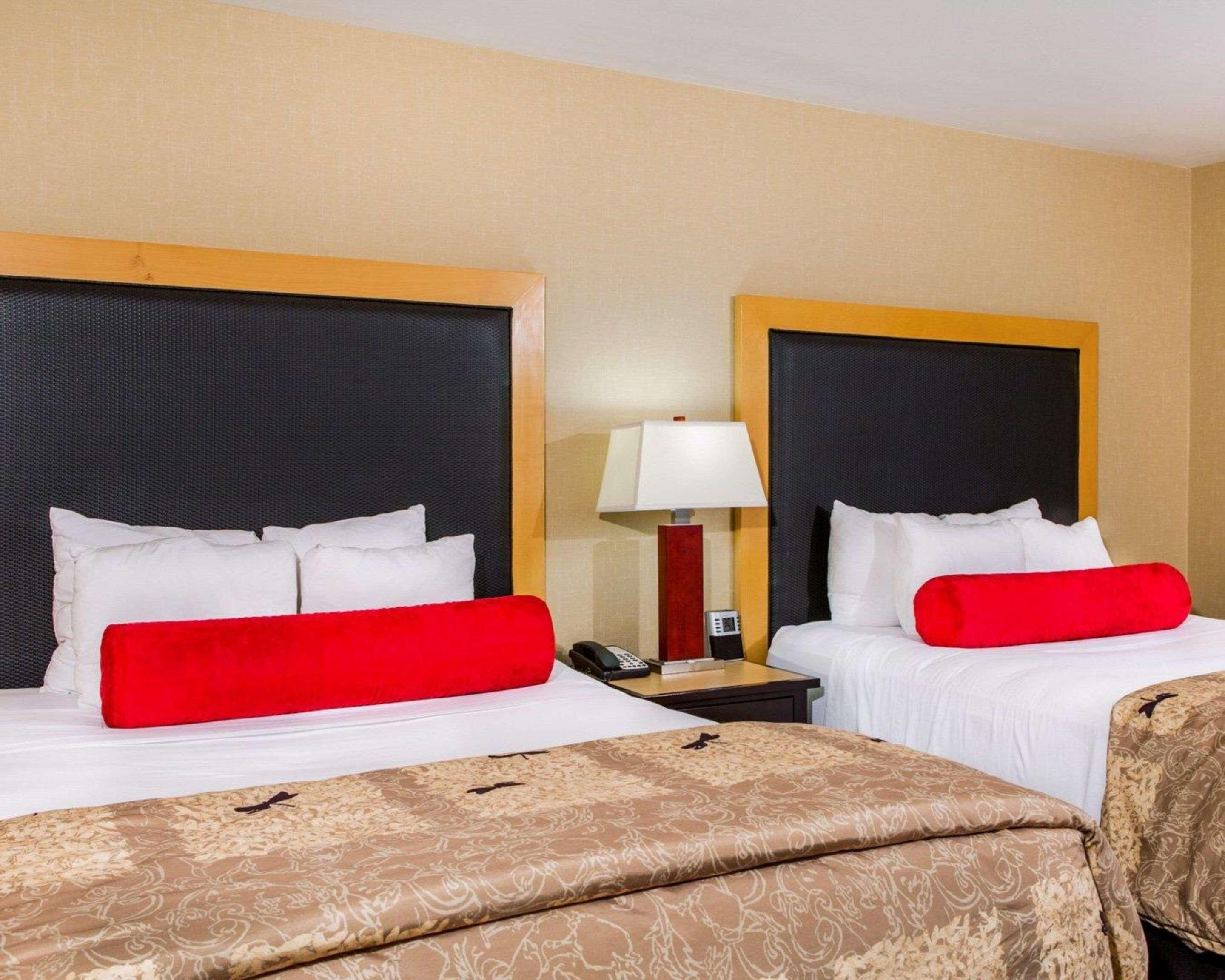 1 habitación, ropa de cama de alta calidad, edredón y escritorio 