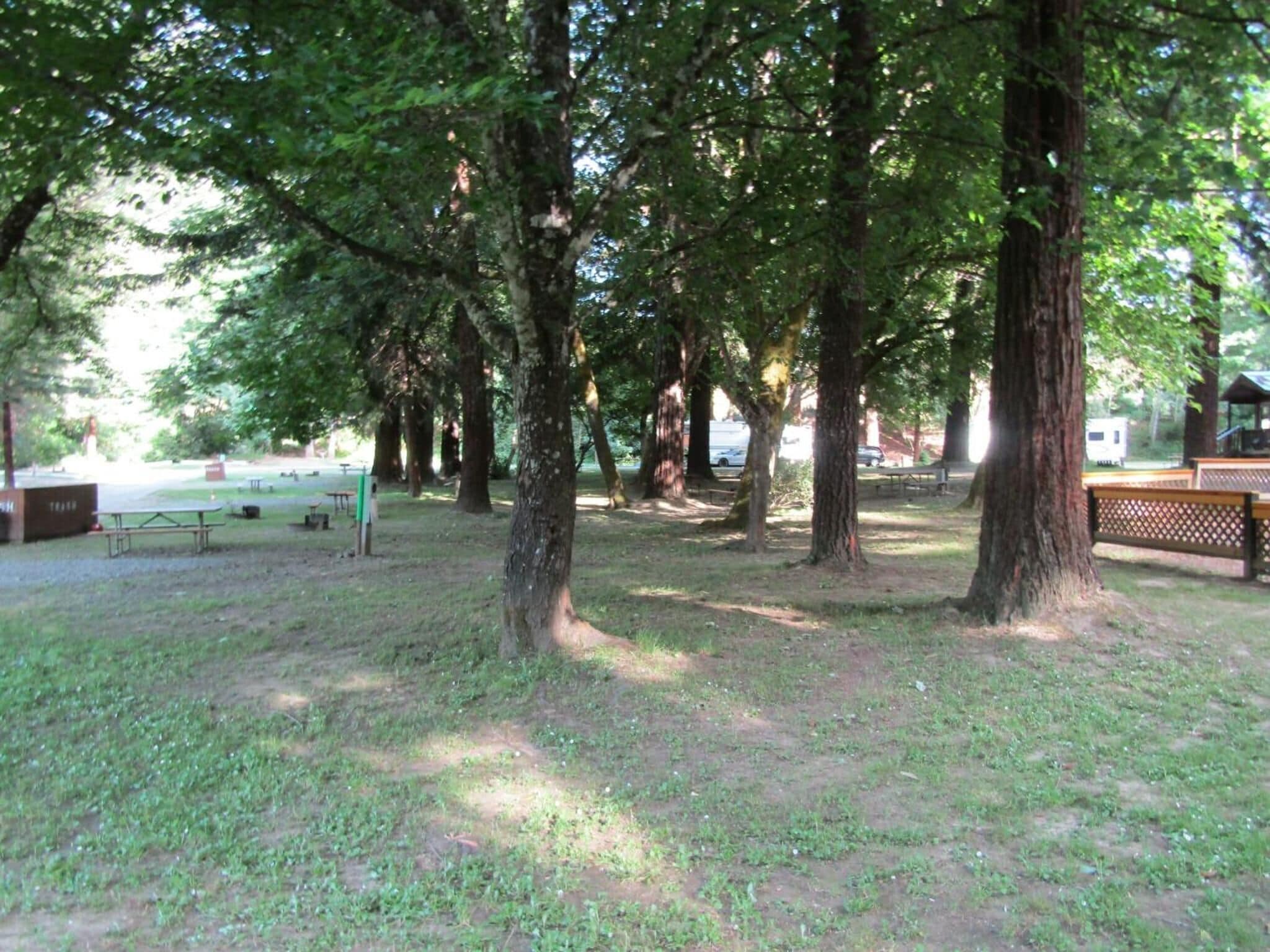 A park with picnic tables, benches, and a playground area.