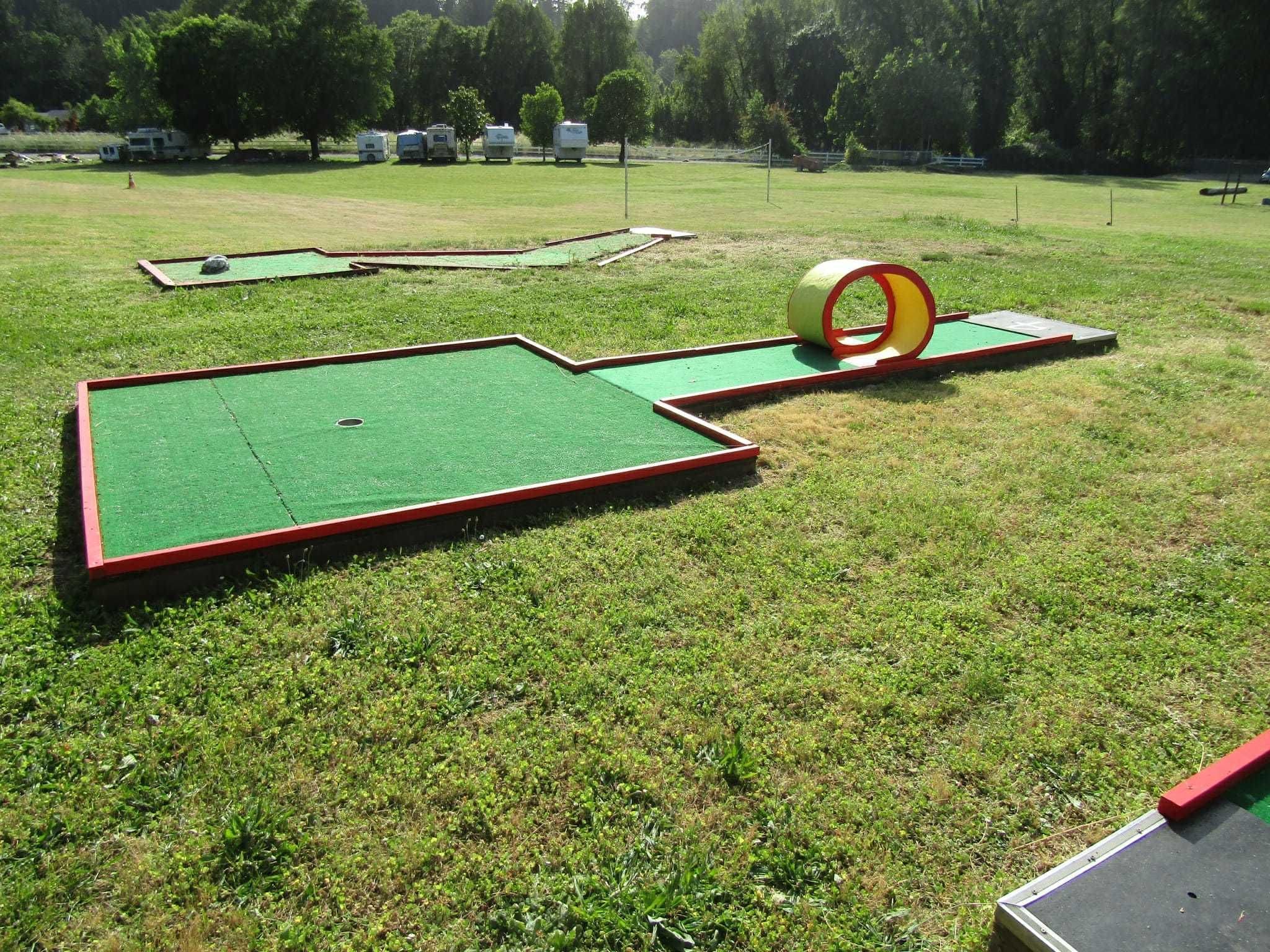 A green artificial turf area with red borders, surrounded by grass and trees.