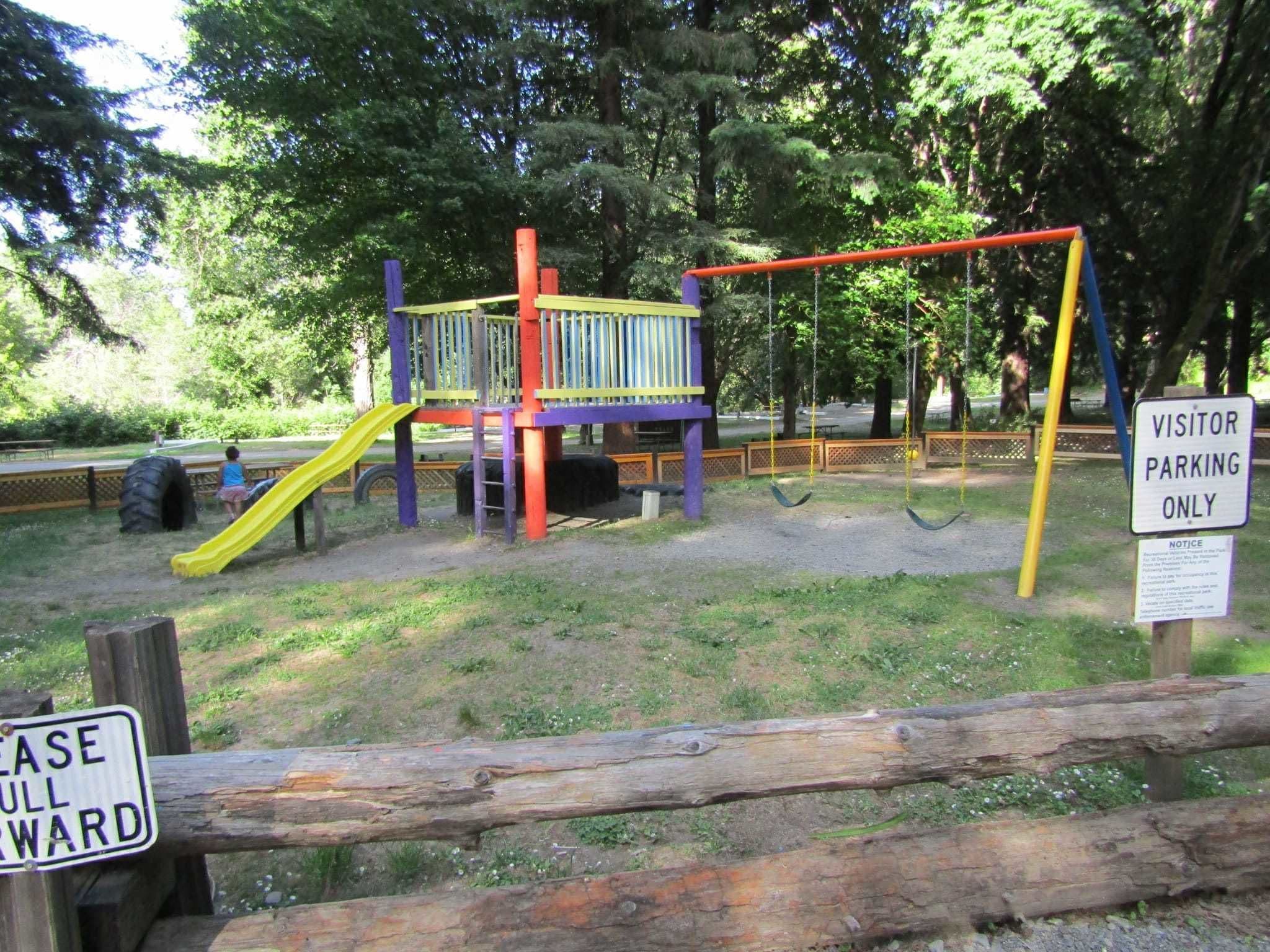 A playground with a slide and swings, surrounded by trees.