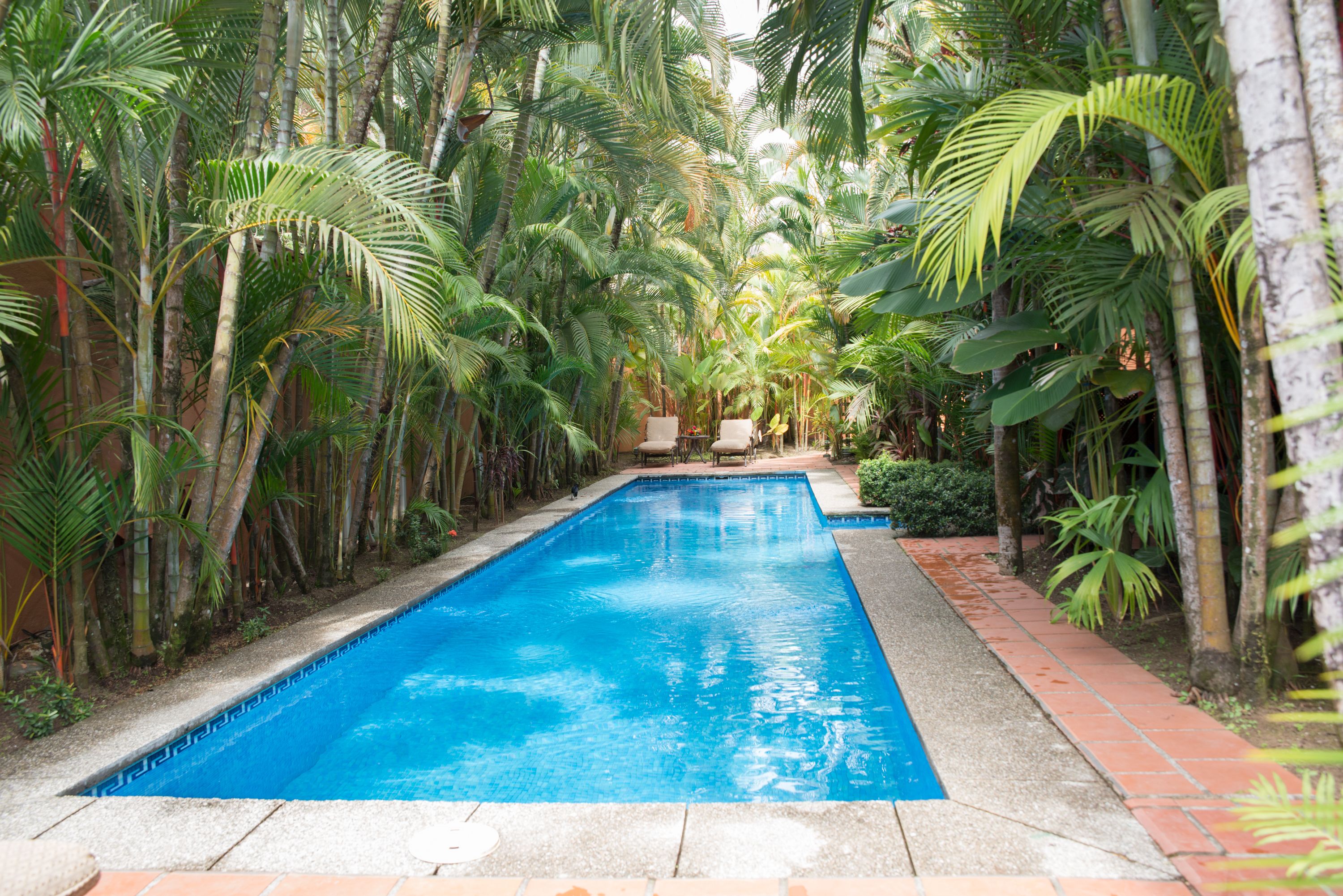 Foto - Hotel Villas Lirio