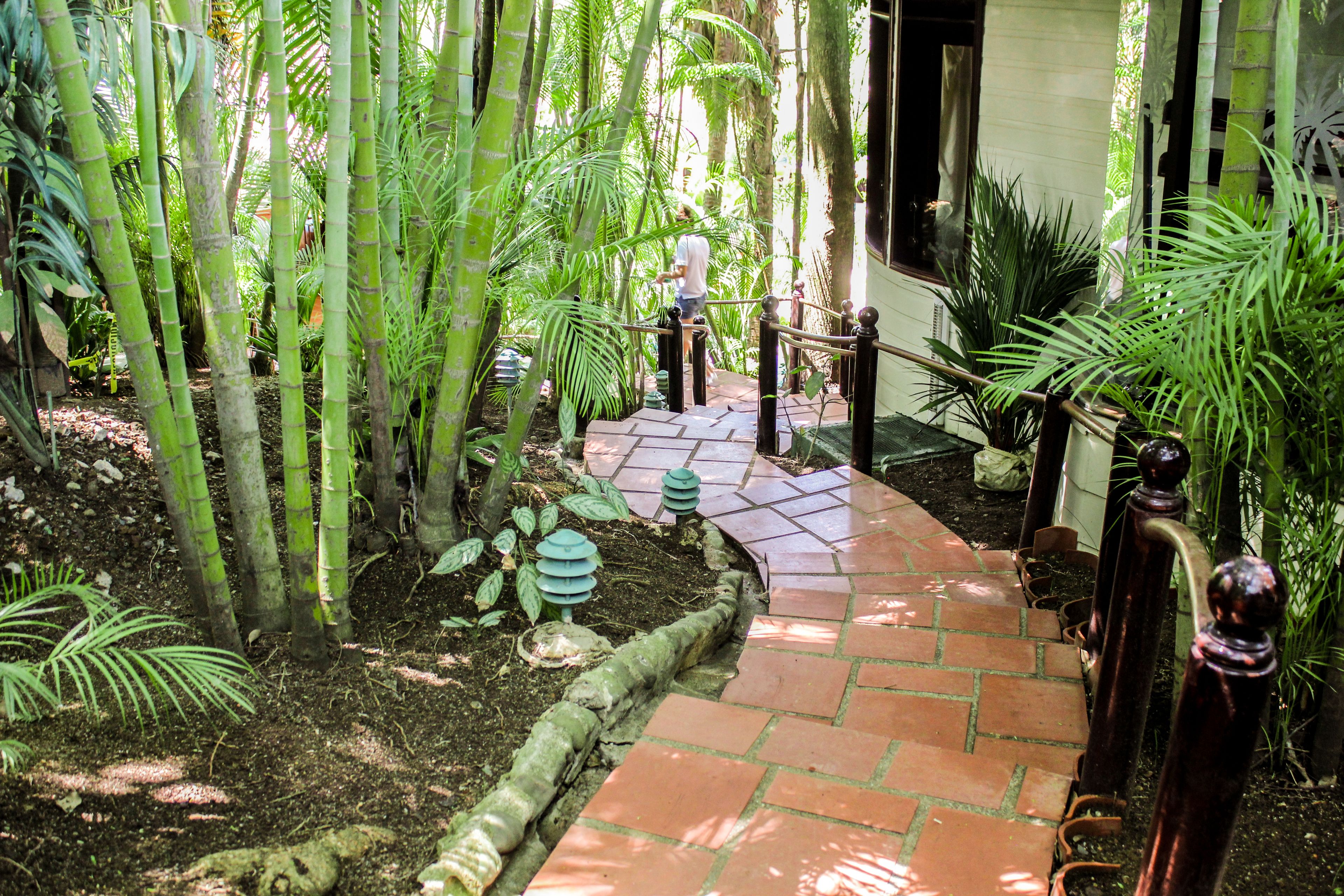 Un sendero de ladrillo en un jardín exuberante con bambú y helechos, que conduce a la entrada de un edificio.