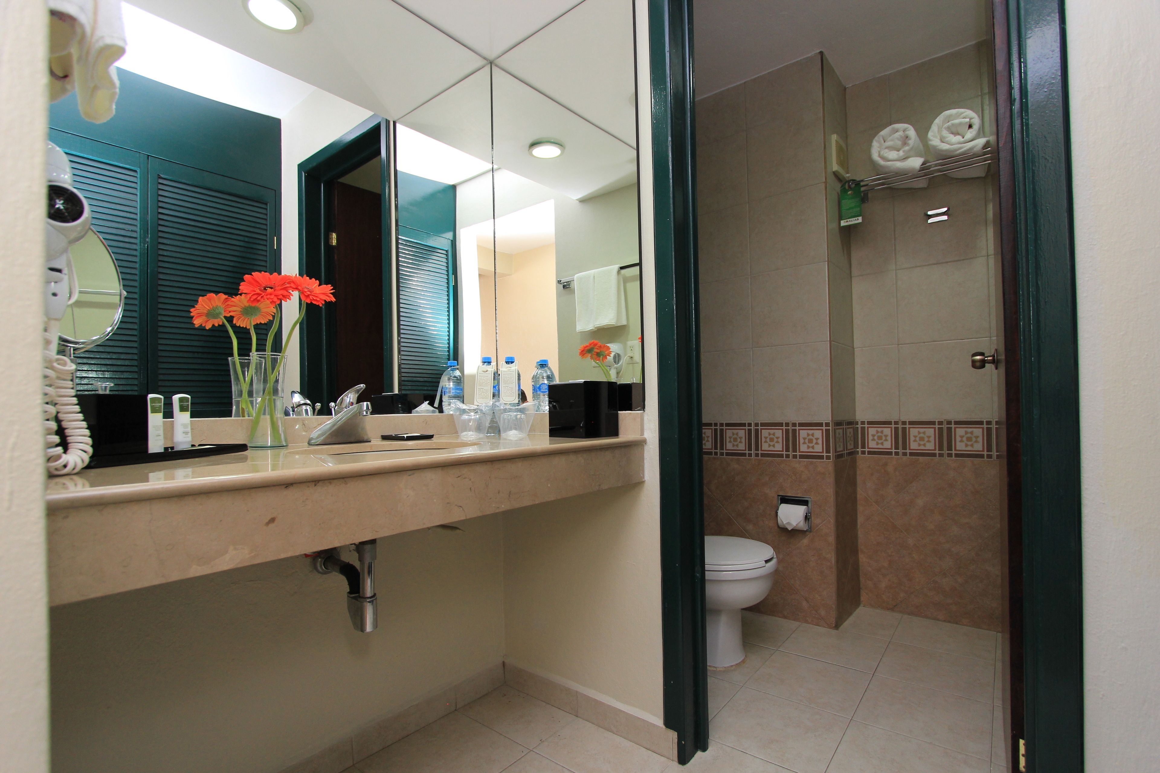 Un baño con lavabo, espejo e inodoro.