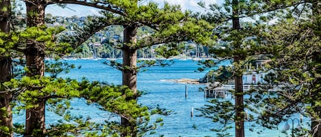 Deluxe Apartment, 1 Bedroom, Harbour View | View from room