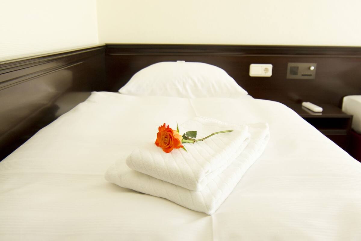 economy double room (small double bed) | premium bedding, in-room safe, desk, iron/ironing board