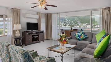 Televisión LCD de 43 pulgadas con canales vía satélite