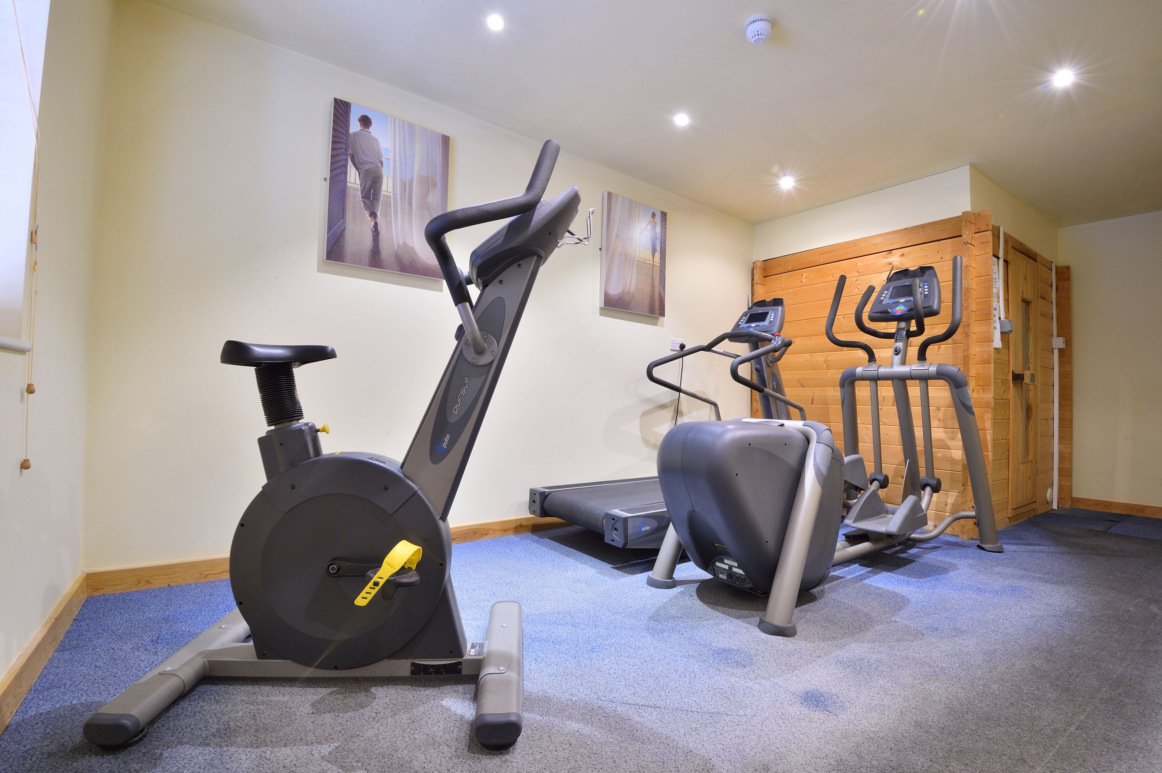 A gym with stationary bikes, treadmills, and a rowing machine.
