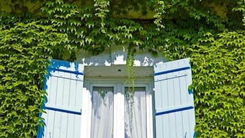 A building with a window covered by blue shutters and a white door, surrounded by lush green ivy.